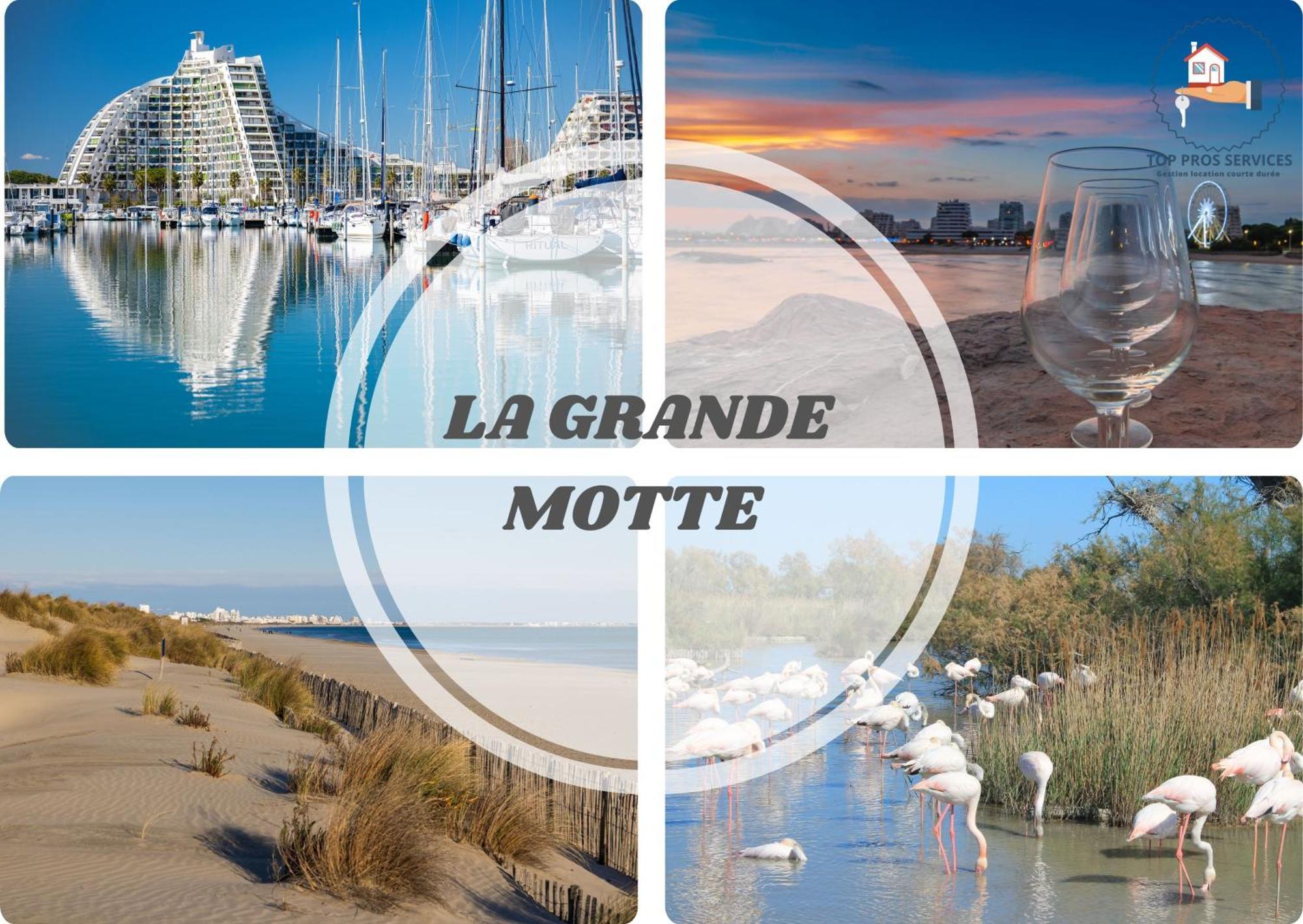 Le Cosy Wifi Clim Jardin Top Pros Servicesconciergerie מונפלייה מראה חיצוני תמונה