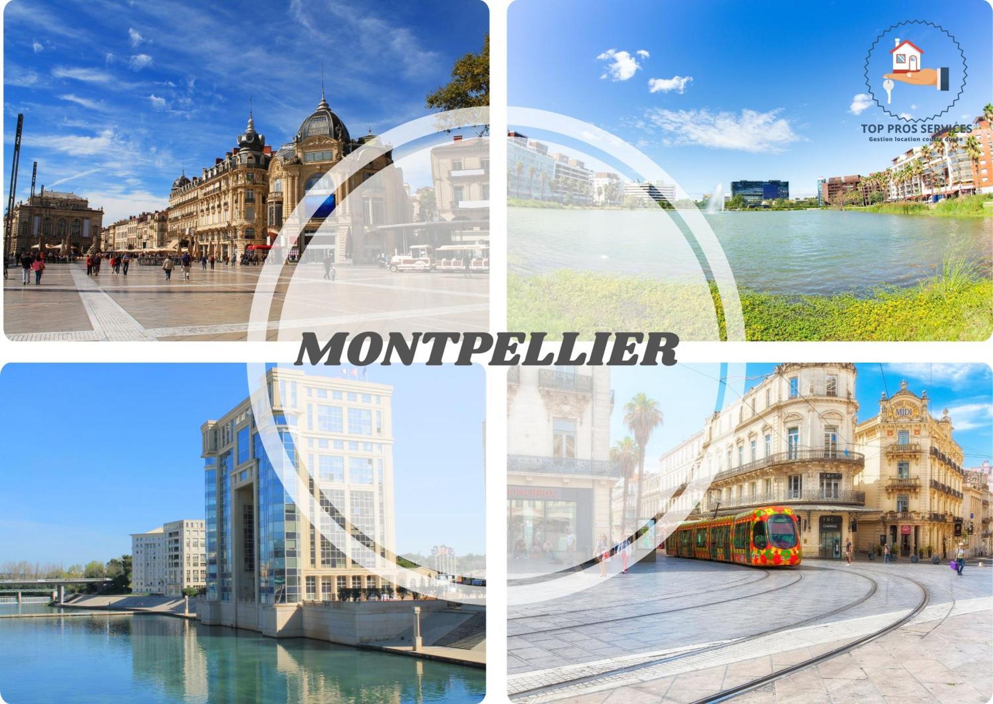 Le Cosy Wifi Clim Jardin Top Pros Servicesconciergerie מונפלייה מראה חיצוני תמונה